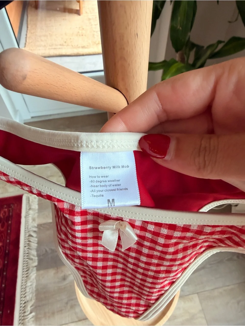 Strawberry Milk Mob Red Gingham Ranch Water Bikini Set with Cream Trim